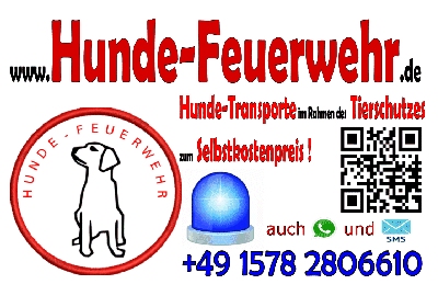 HuFeu-VK.jpg